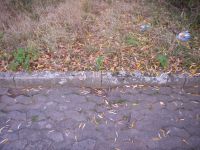 Filename=Tiefenbohrung_20.JPG
Filesize=199KB
Dimensions=1024x768
Date added=Feb 23, 2012 Tiefenbohrung_20.JPG